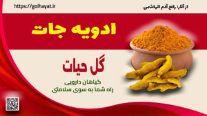 گل حیات، عطاری و گیاهان دارویی، ادویه جات