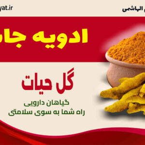 ادویه جات