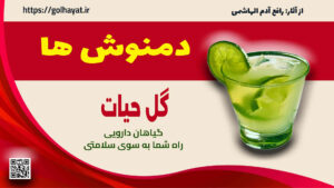 گل حیات، عطاری و گیاهان دارویی، دمنوش ها
