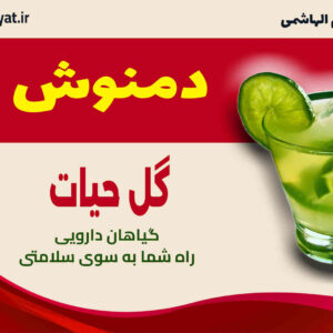 دمنوش ها