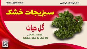 گل حیات، عطاری و گیاهان دارویی، سبزیجات خشک