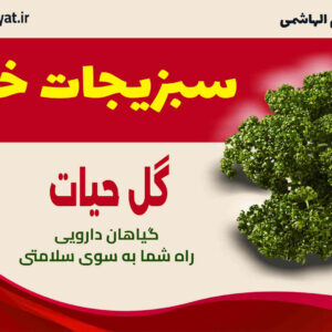 سبزیجات خشک