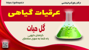 گل حیات، عطاری و گیاهان دارویی، عرقیات گیاهی