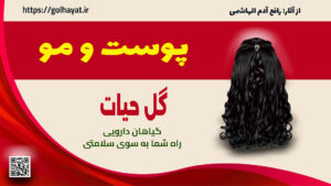 گل حیات، عطاری و گیاهان دارویی، پوست و مو