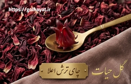 گل حیات، عطاری و گیاهان دارویی، ادویه جات، عرقیات گیاهی، سبزیجات خشک، روغن های گیاهی، دمنوش ها، پوست و مو، محصولات دیگر
