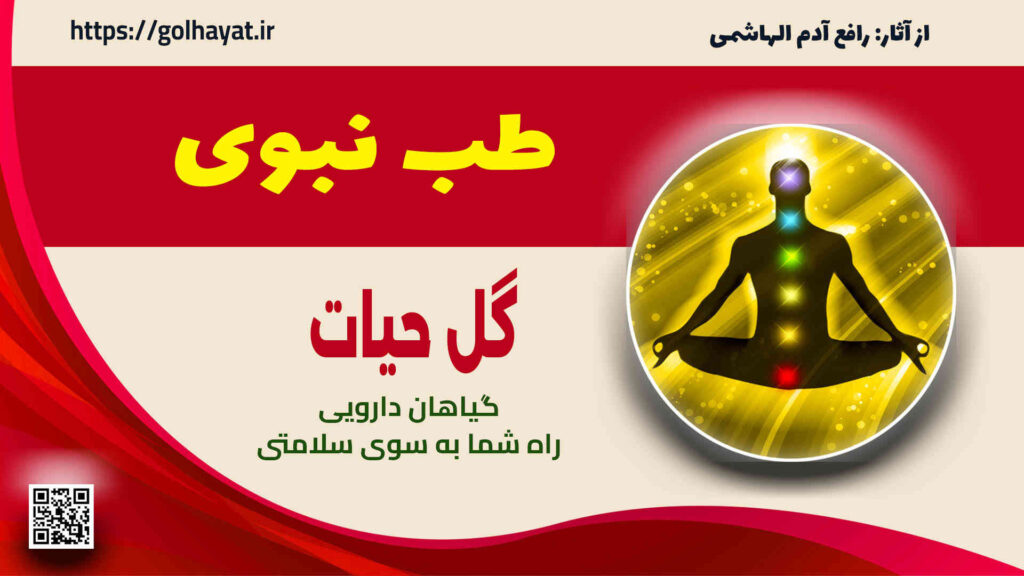 گل حیات، عطاری و گیاهان دارویی، معاینه بر اساس علوم طب نبوی، ادویه جات، عرقیات گیاهی، سبزیجات خشک، روغن های گیاهی، دمنوش ها، پوست و مو، محصولات دیگر