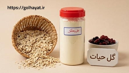 پودر شیر خشک شور اعلا